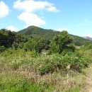 지봉리 경로당 이미지