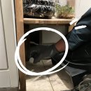 피카소빌 이미지