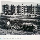 금오로23번길22-49외 (광역행정타운내) | 자본주의 독서후기, 강남의 탄생/한종수, 강희용