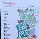 제주 동백수목원 애기동백꽃 이미지