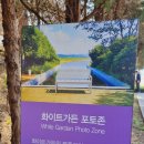 허브빌리 이미지