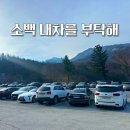 내차를부탁해 | 소백 내차를 부탁해 탁송 이용방법, 요금 및 후기 편리해요