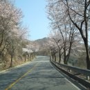 더컨테이너 스테이 네이버블로그