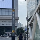 [머리하는날] 연남동미용실 아이히메헤어 히피펌 솔직후기