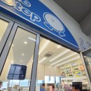 스카이애견 | 부산 여행 해운대 블루라인파크 스카이캡슐 탑승 애견동반 내돈내산 티켓 발급 후기