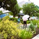 작은정원 이미지