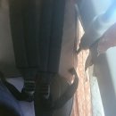 11620-5-4-2 | 오사카 4박5일 후기 _ 2일 째