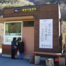 천년송가는길 이미지
