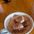 SK텔레콤원주지점(60003) | T 멤버십 고객감사제 12월 혜택 파스쿠찌 50% 할인 겨울 신메뉴 초코멜로우라떼 카사타 루돌프 이용후기