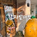 굿즈마켓 - 순천시 | 안국놀거리 감자밭마켓 굿즈 감자빵 후기