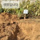 강화군 불은면 오두리 290-3 *유연고분묘 3기 - 오늘 분묘개장, 유골수습, 유골이송, 인천가족공원화장장, 이미지