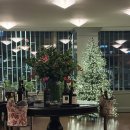 ricci | [강남/압구정] 생일 기념으로 간_구찌오스테리아 서울 디너 예약/가격/단품 메뉴 상세 후기