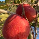 절골축산 이미지