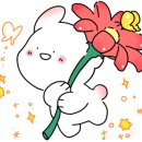 궁전상회 이미지