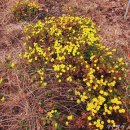 무수농장 이미지