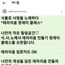 식물로사랑을노래하다 이미지