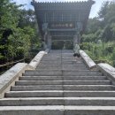 빌라마래 이미지