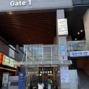 게코카페티라노 - 수원시 팔달구 행궁로 19 | 가볼만한 곳 | 게코, 거북이, 뱀까지 직접 만지는 파충류 카페 다녀왔어요_위례게코카페티라노 후기