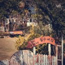 철수네집