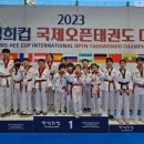 한국체대 탑 태권도장 이미지