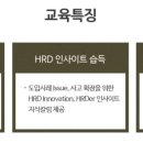 HRD 실무전문가 과정 이미지