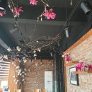 달봉카페 등잔일보
