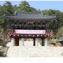 법흥사입구 이미지