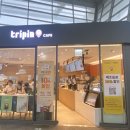 트리핀(Tripin) 이미지