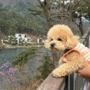 포천이동 생태공원 캠핑장 이미지