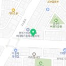 청주고양이카페아이캣유 이미지