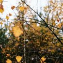 서울J플란트치과의원 이미지