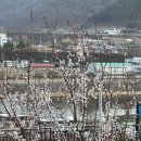 향로산로 이미지