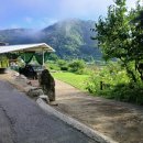 영생농장 이미지