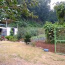 화정갈매골농장 | 안산 물왕저수지 근처 화정갈매골농장