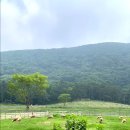 동인목장 이미지