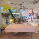 인형랜드 | 20251024)ak플라자 수원 귀여운 토토로 대형인형이 있는 도토리숲 &amp; 애니랜드 다녀온 후기