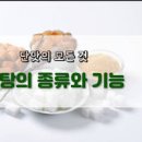 설탕 종류 및 설탕 먹는법은?(설탕 대체식품) 이미지