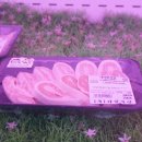 구워먹는식육식당 이미지