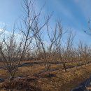 개암농장 이미지