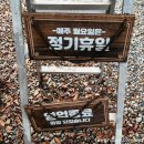 미국버거연경지묘점 이미지