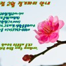 모던출장뷔페 이미지
