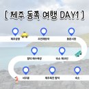 제주도 동쪽 뚜벅이 여행 1일차(동문시장, 우진해장국, 함덕해수욕장, 서우봉)