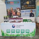 풍성한 천년초농원 이미지