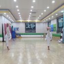 팀태권도장 이미지