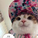 유어턴