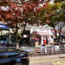 흥덕중앙로 5 | 광교중앙역 경희부부한의원 침 잘 놓는 곳 통증 완화 후기