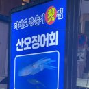 이래도안올래 이미지