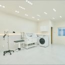 춘복살롱 이미지