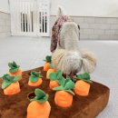 맑은오늘 애견유치원&호텔 이미지