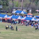 금산종합운동장 이미지